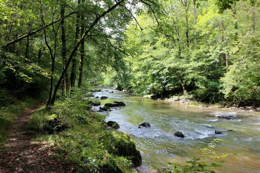 Chambres D'Hotes Du Presbytere La Bastide-l'Eveque Bagian luar foto